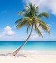 Palm Coast Publishing, Inc.